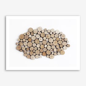 Wood Collection Art Print