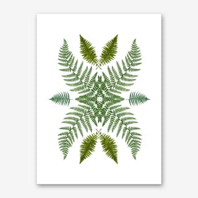 Flowing Ferns Art Print
