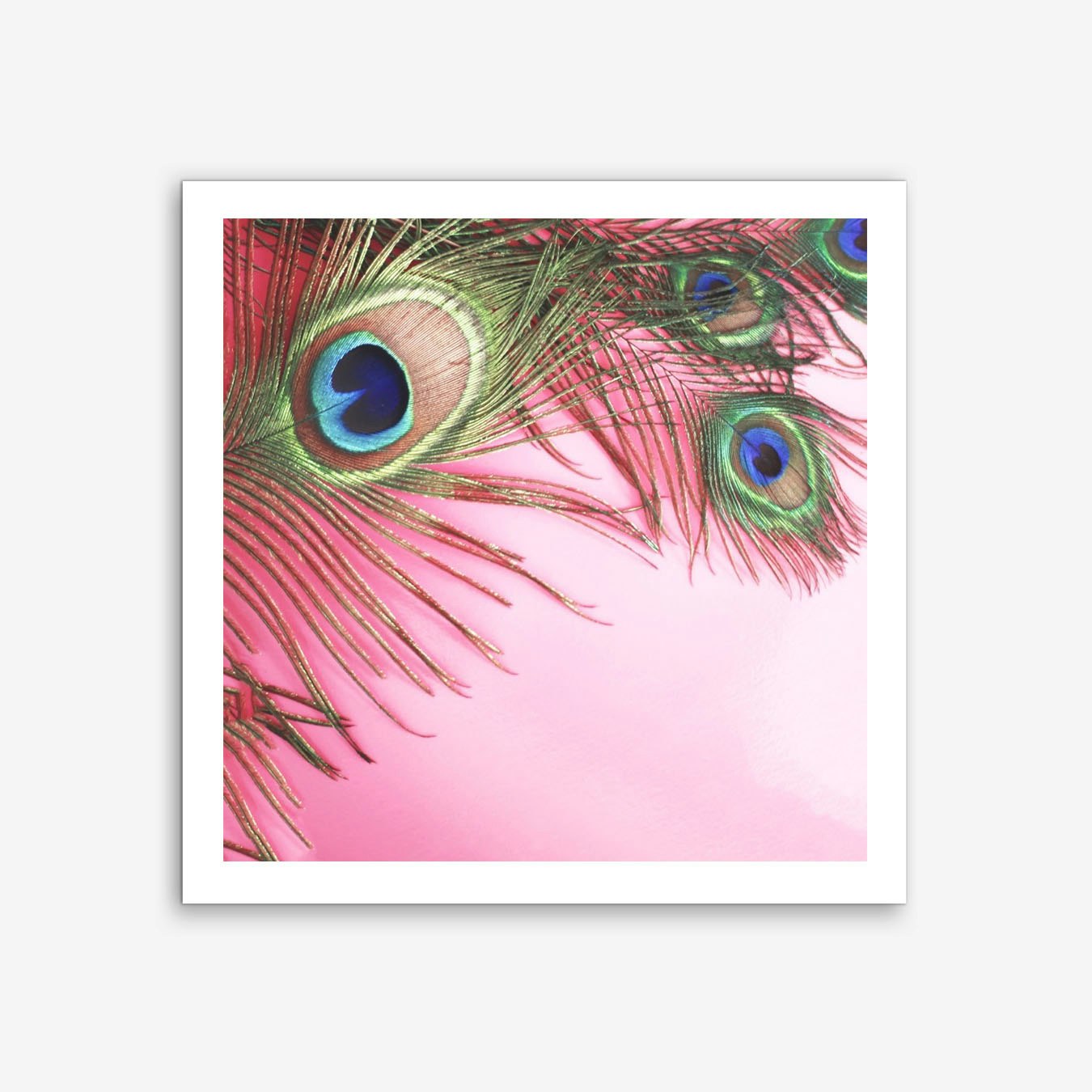 Peacock Feathers Art Print Poster Pink Wall Decor Framed Option for Living Room