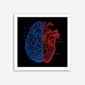 Heart and Brain Art Print