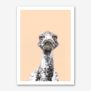 Orange Emu Art Print