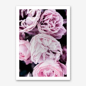 Pink Flowers II Art Print