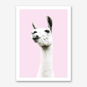 Pink Llama Art Print