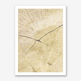 Tree Stump Art Print