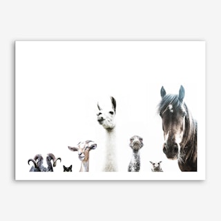 Animal Crew Art Print