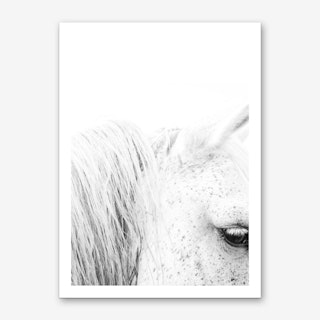 White Horse II Art Print