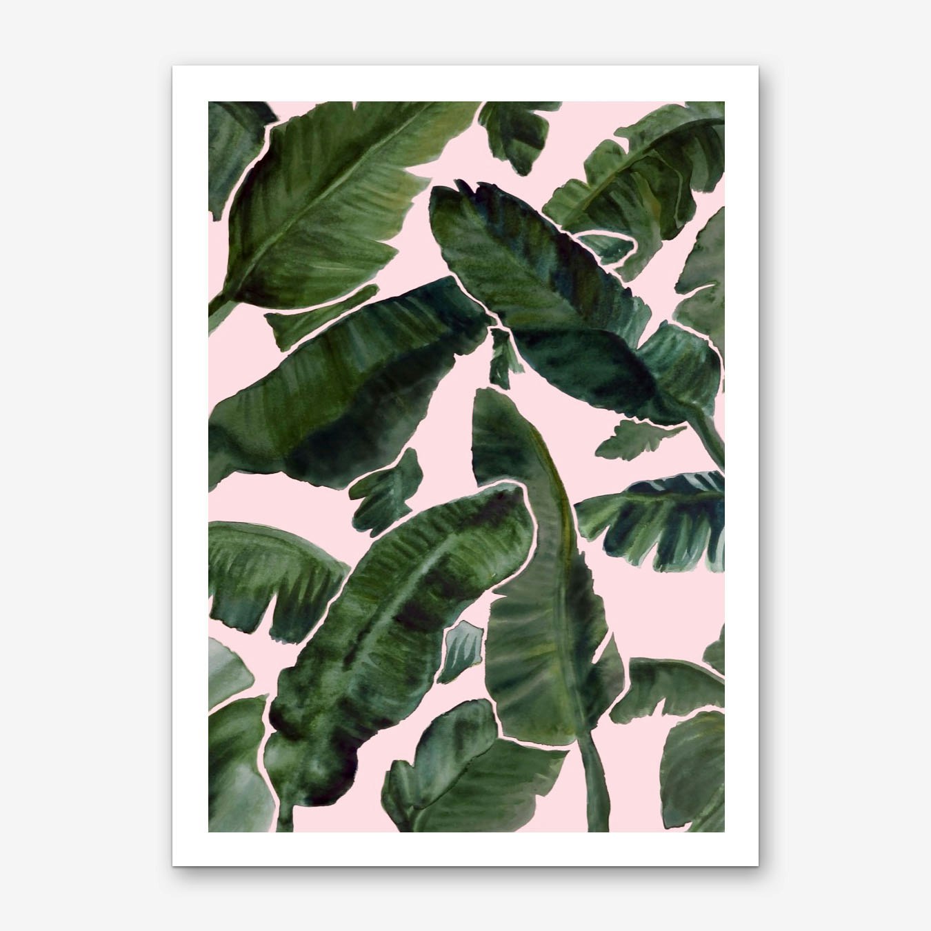 Tropical Palms Botanical Art Print Poster Green Pink Wall Decor for Living Room Framed