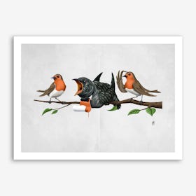 Cock Robin (Wordless) Art Print