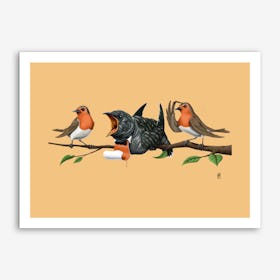 Cock Robin (Colour) Art Print