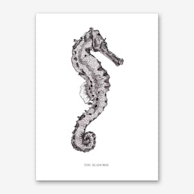 The Seahorse Art Print
