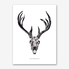The Deer Skull Art Print