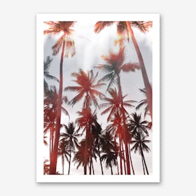 Palms II Art Print