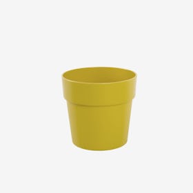 Flowerpot Fency Pot, Yellow, Ø12