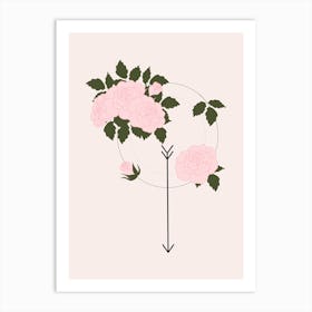 Pink Rose And Arrow Art Print