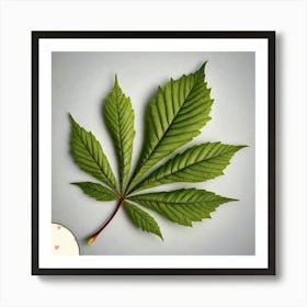 Chestnut leaf 1 Art Print