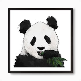 Panda And Bamboo White Square Art Print