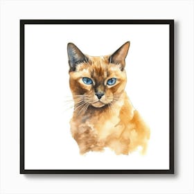 Burmese Champagne Cat Portrait 3 Art Print