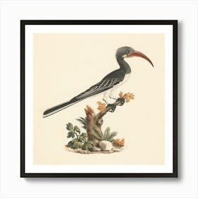 Hemprich S Hornbill Or Crowned Hornbill, Luigi Balugani Art Print