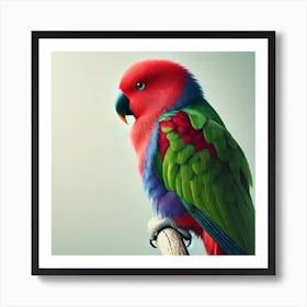 Colorful Parrot 3 Art Print