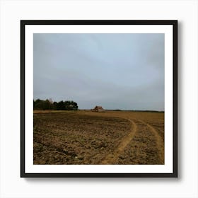 Poland paddyfeild Art Print