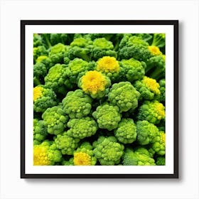 Close Up Of Broccoli 6 Art Print