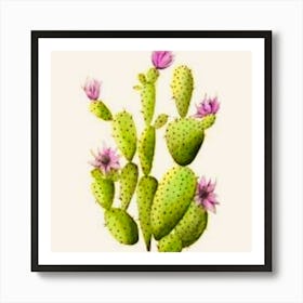 Cactus Flower Art Print