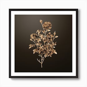 Gold Botanical Burgundy Cabbage Rose on Chocolate Brown Art Print