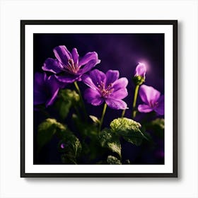 Purple Geraniums Art Print