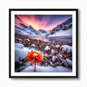 Flower In The Snow Art Print