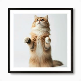 Cat Standing Up Art Print