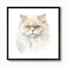 Colorpoint Shorthair Persian Cat Portrait Poster