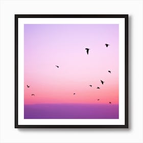 Flock Of Birds At Sunset Art Print