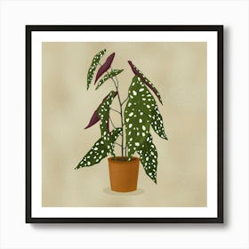 Begonia Maculata Art Print