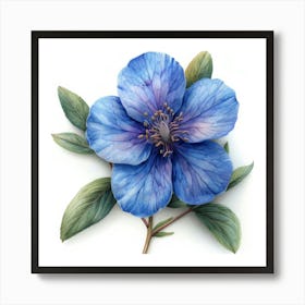 Blue Clematis Affiche