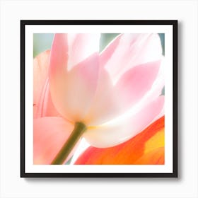 Tulips Art Print