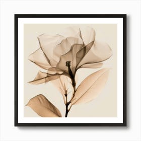 Floral Art 0009 Floral 0008 Botanical Assets 0020 Bp6586 Minimalist Soft Bright X Ray Scandinavian Minimalist F56a1b6e Art Print