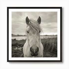 White Horse AT BEACH Art Print