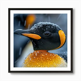 King Penguin 9 Art Print