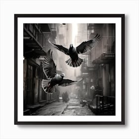 Pigeons In Flight Art Print