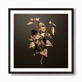Gold Botanical Silver Birch on Chocolate Brown n.4215 Art Print