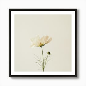 Single White Flower Art Print