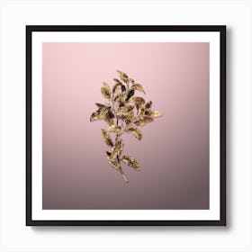 Gold Botanical Evergreen Oak on Rose Quartz Art Print