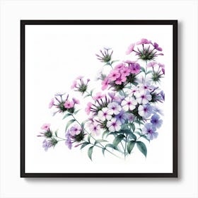 Flowers of Phlox 2 Art Print