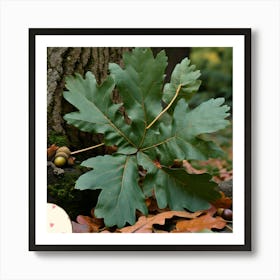 Oak leaf Art Print