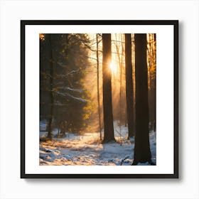 Sunrise In The Woods 1 Art Print