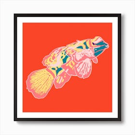 Fish Of Colours Square Art Print