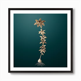 Gold Botanical Wood Lily on Dark Teal n.4082 Art Print