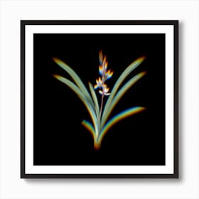 Prism Shift Boat Orchid Botanical Illustration on Black Art Print