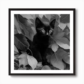 Black and White Black Kitten In Leaves 2 Art Print