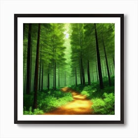 Path In The Forest Art Print